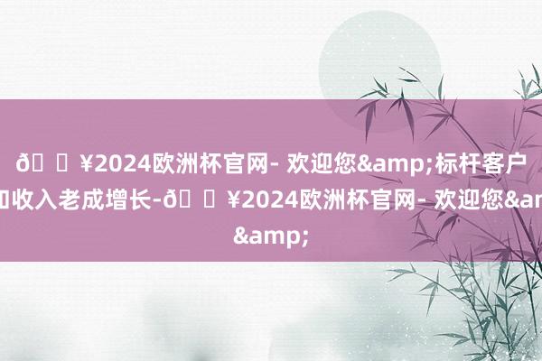 🔥2024欧洲杯官网- 欢迎您&标杆客户数和收入老成增长-🔥2024欧洲杯官网- 欢迎您&