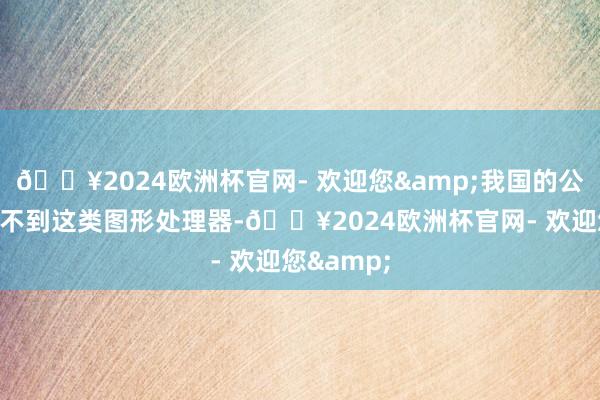 🔥2024欧洲杯官网- 欢迎您&我国的公司根底买不到这类图形处理器-🔥2024欧洲杯官网- 欢迎您&