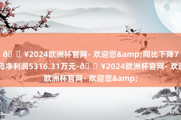 🔥2024欧洲杯官网- 欢迎您&同比下降7.15%；归母净利润5316.31万元-🔥2024欧洲杯官网- 欢迎您&