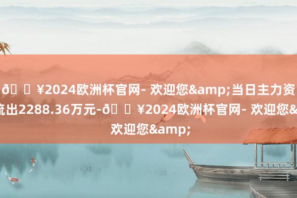 🔥2024欧洲杯官网- 欢迎您&当日主力资金净流出2288.36万元-🔥2024欧洲杯官网- 欢迎您&