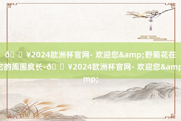 🔥2024欧洲杯官网- 欢迎您&野菊花在它的周围疯长-🔥2024欧洲杯官网- 欢迎您&